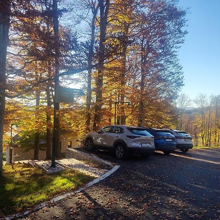 Green Forest Žabljak Zewnętrze zdjęcie