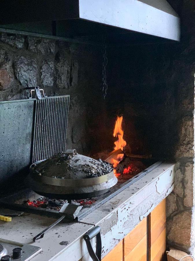 Green Forest Žabljak Zewnętrze zdjęcie