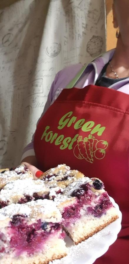 Green Forest Žabljak Zewnętrze zdjęcie
