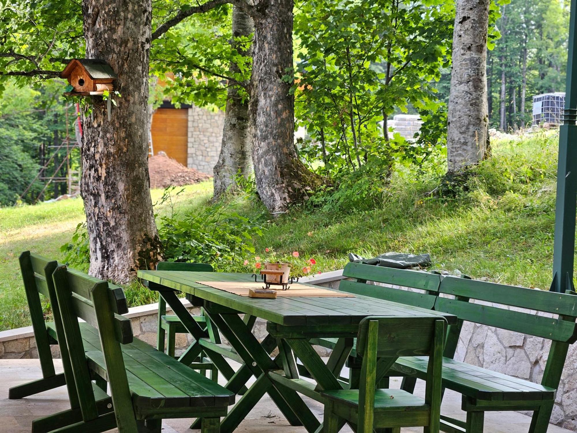Green Forest Žabljak Zewnętrze zdjęcie