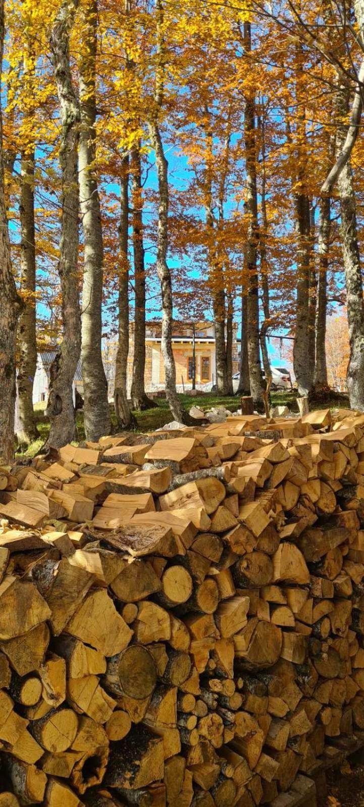 Green Forest Žabljak Zewnętrze zdjęcie