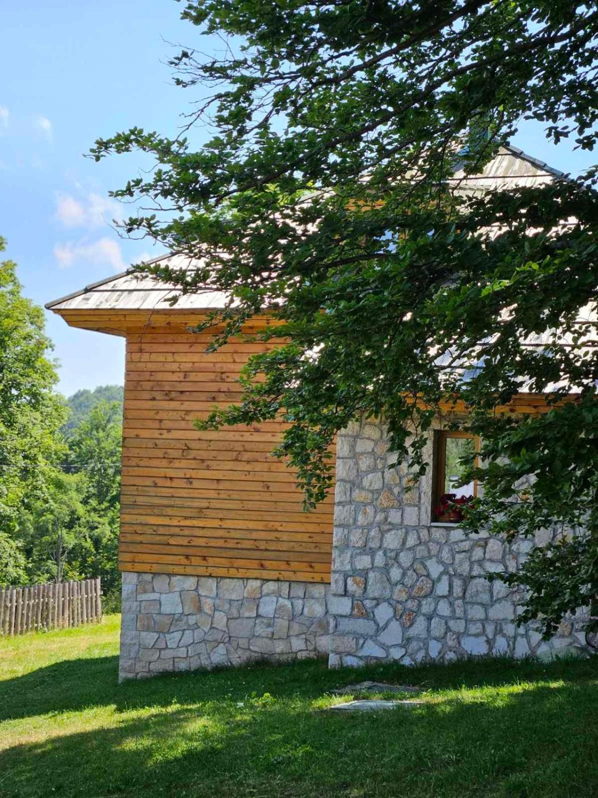 Green Forest Žabljak Zewnętrze zdjęcie