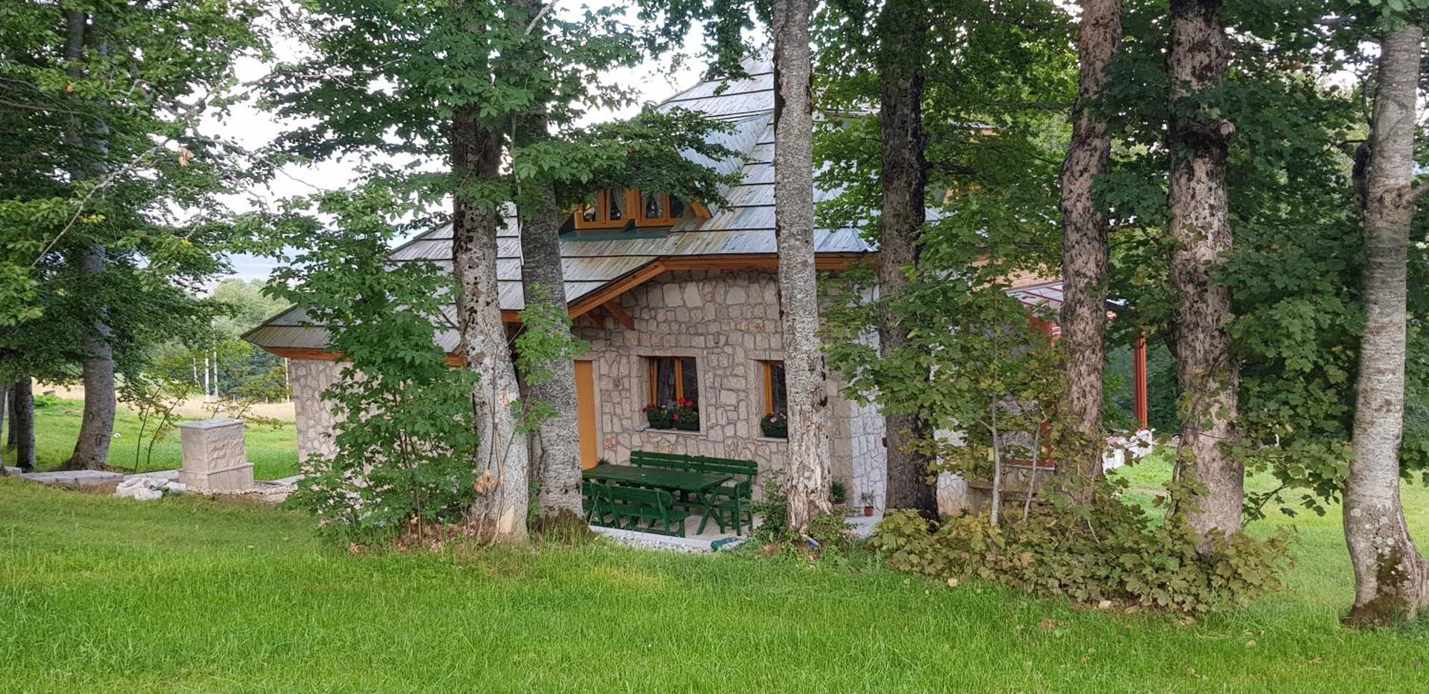 Green Forest Žabljak Zewnętrze zdjęcie