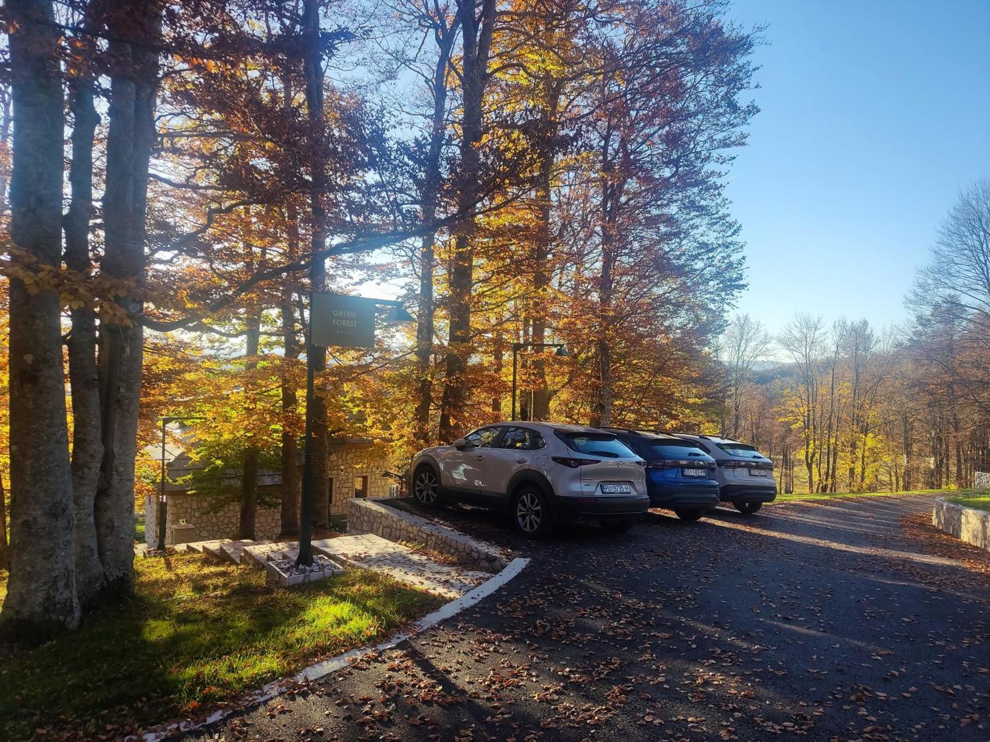 Green Forest Žabljak Zewnętrze zdjęcie