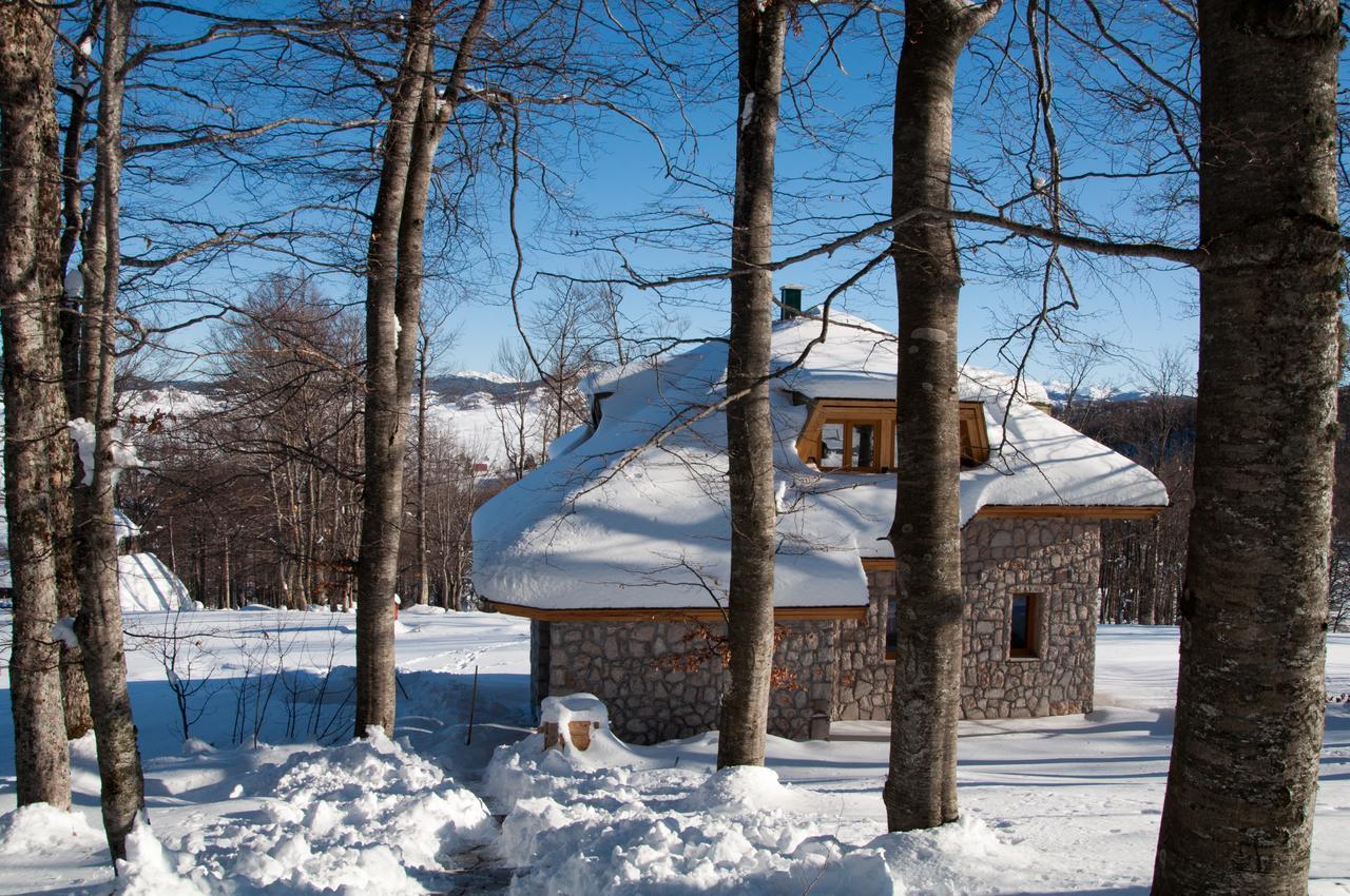 Green Forest Žabljak Zewnętrze zdjęcie