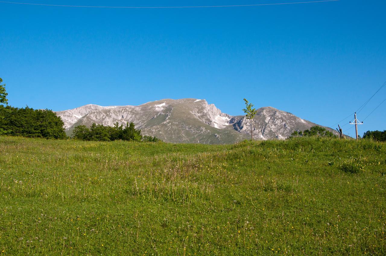 Green Forest Žabljak Zewnętrze zdjęcie