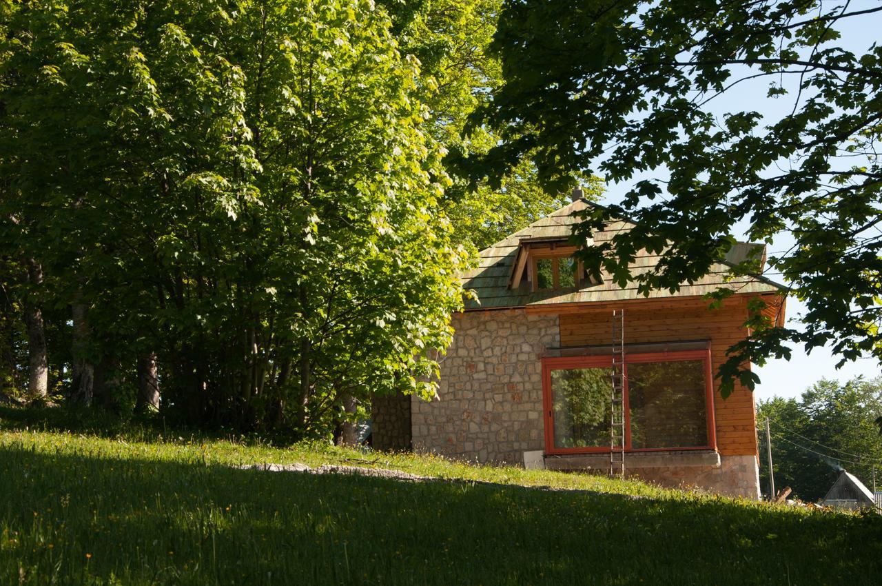 Green Forest Žabljak Zewnętrze zdjęcie