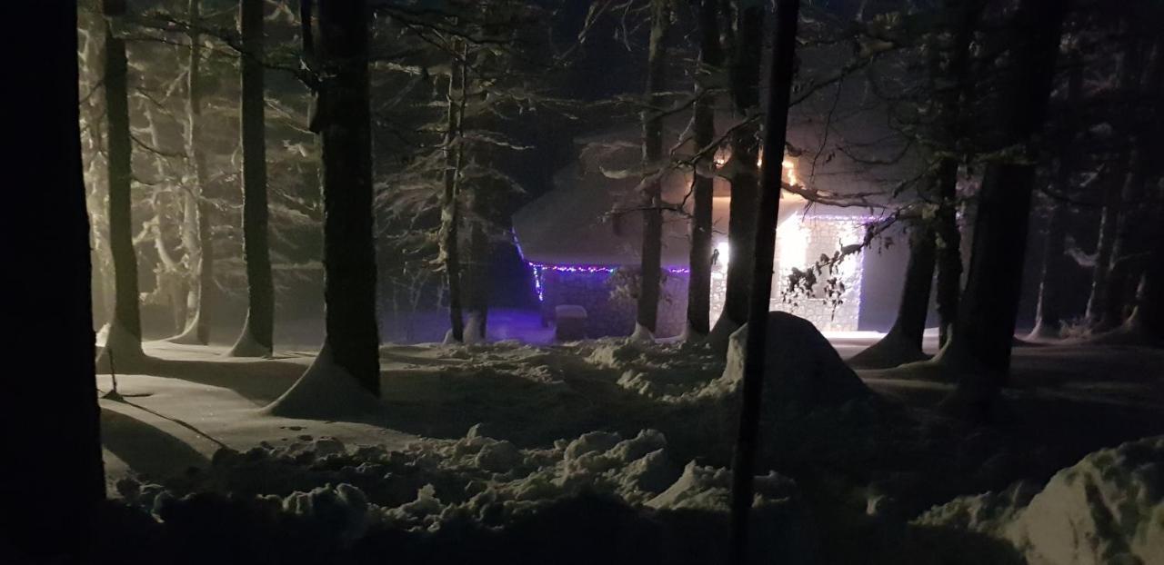 Green Forest Žabljak Zewnętrze zdjęcie