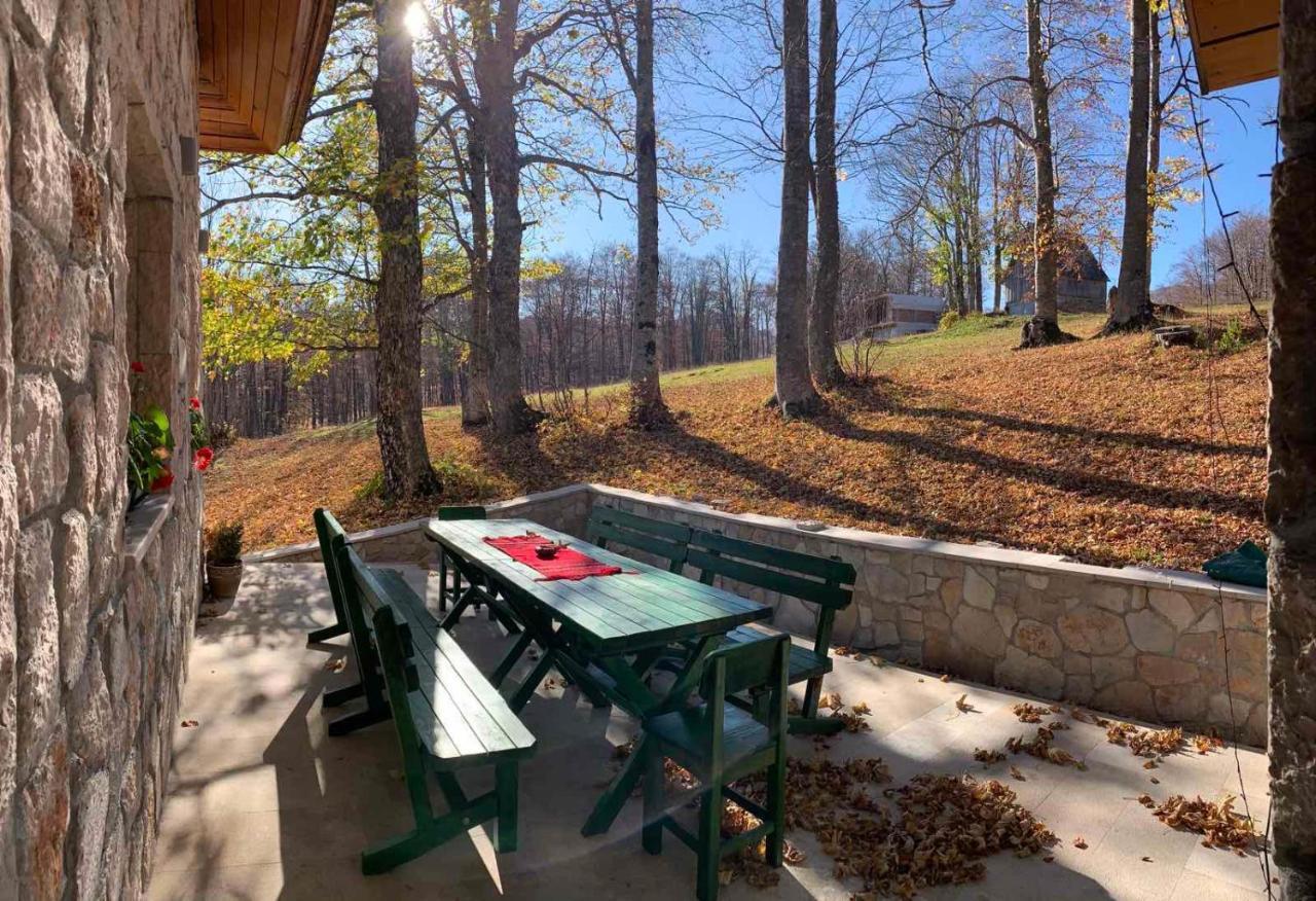 Green Forest Žabljak Zewnętrze zdjęcie